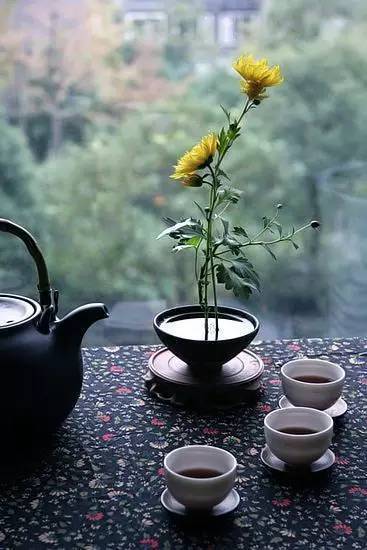 為你朗讀 知足 感恩