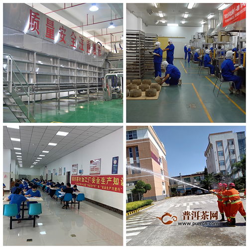 中茶福建公司榮獲 中國茶葉標(biāo)準(zhǔn)化示范工廠 稱號