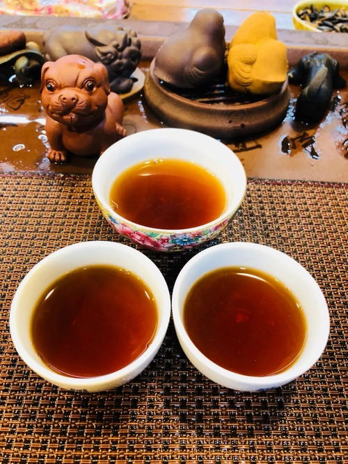 熟茶鐵餅形態(tài)市場少有,潤元昌老鐵讓人眼前一亮