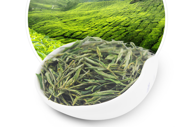 龍合 新茶春茶安徽正宗黃山毛峰毛尖一級雨前毛峰250g罐裝精品茶葉