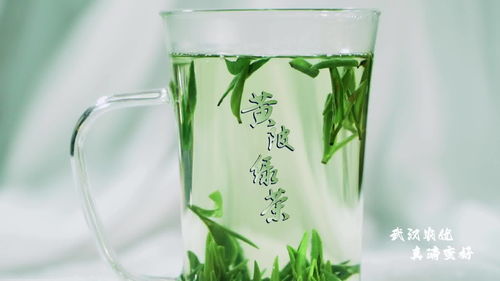 武漢優(yōu)質農(nóng)產(chǎn)品黃陂茶葉 天庭瓊漿玉液 人間黃陂綠茶
